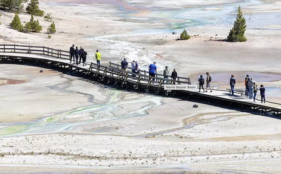 Man Gets Jail for Walking in Off-Limits Yellowstone Park Thermal Area