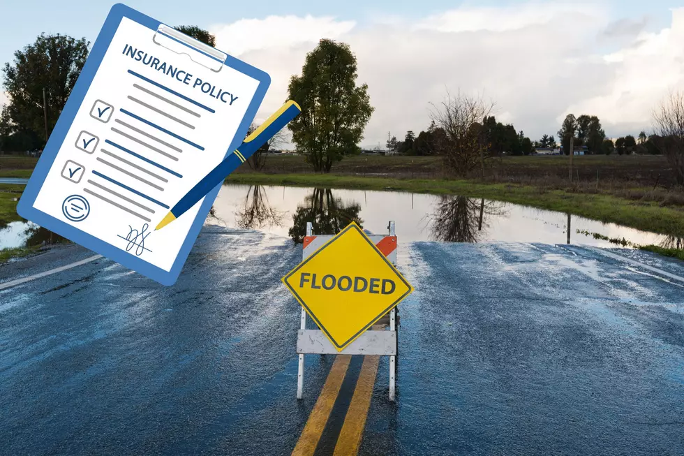 Montana Rains: A Blessing, a Curse, and an Insurance Wake-Up Call