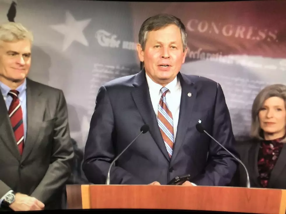Supreme Court on Dobbs Abortion Case – Senator Daines Comments