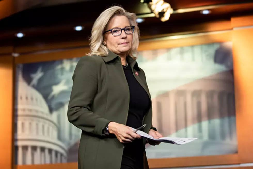 WOW – Bad Move Liz Cheney (OPINION)