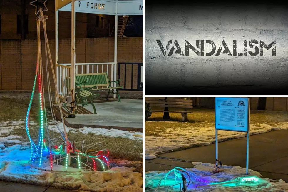 Veterans Park Christmas Tree Attacked in Miles City Over New Years