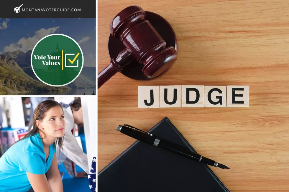 GREAT Resource When Voting for Judges in Montana