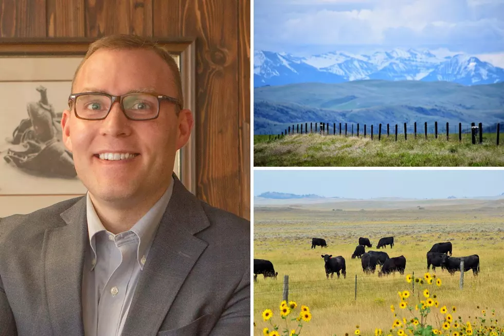 Must-Read: BLM Moves to “Save the Cowboy” from APR & Radicals