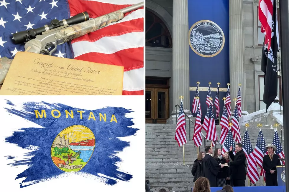 Primer: Pro Gun & Gun Rights Bills for the Montana Legislature
