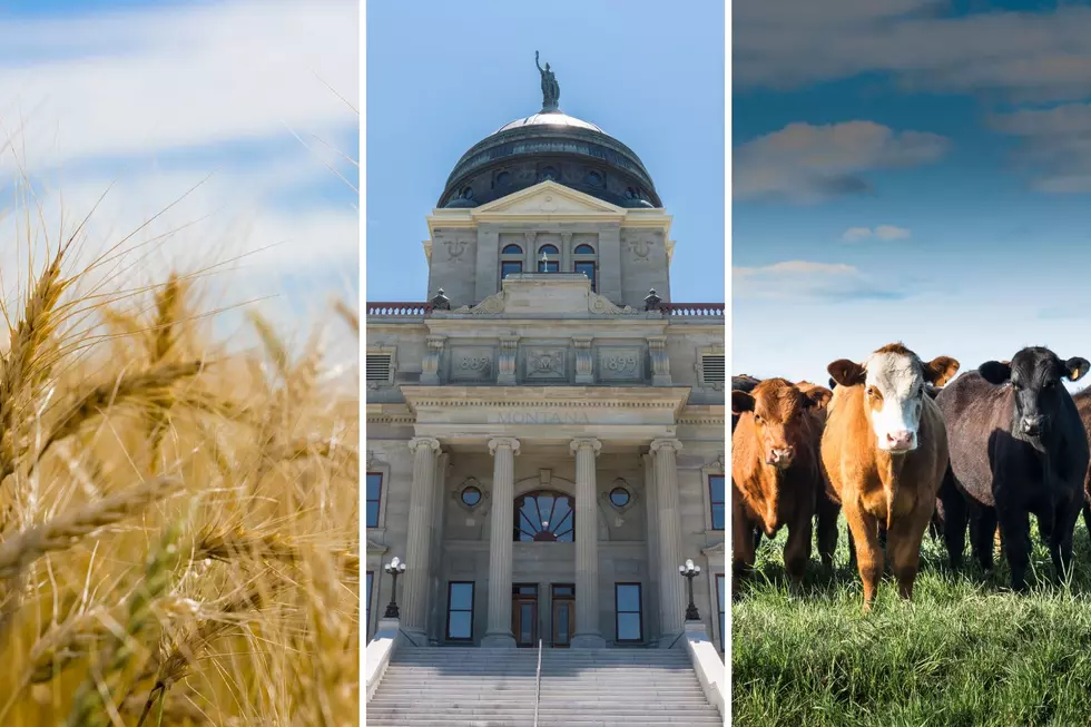 Montana Farm Bureau Mid-Session Update from Helena
