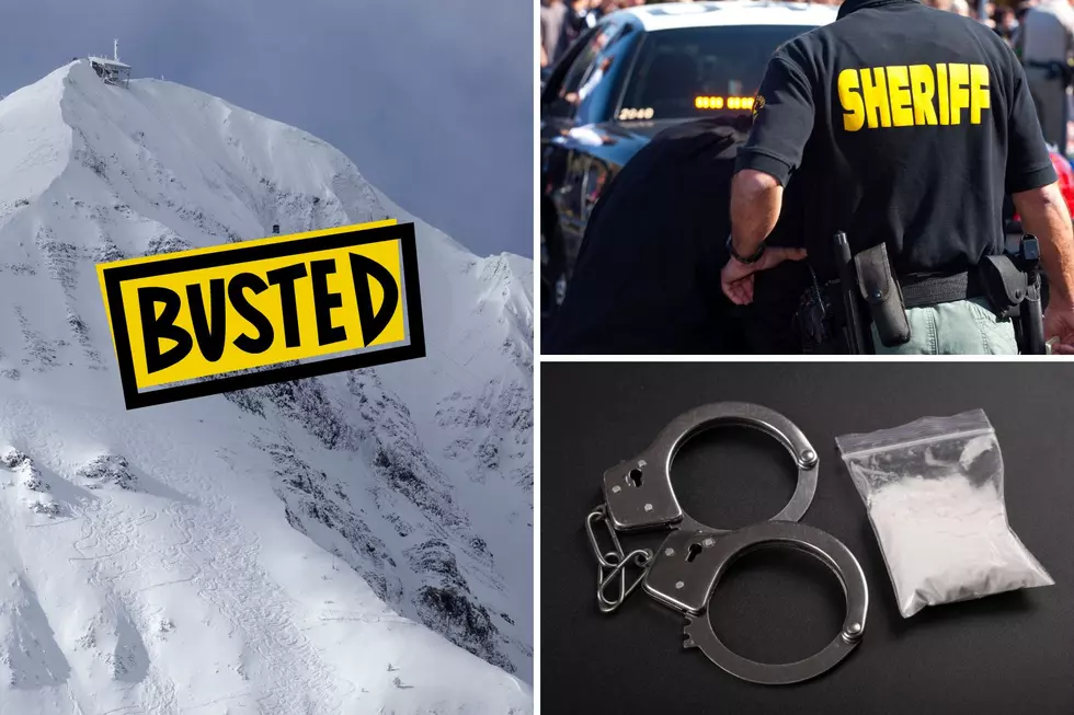 Major Drug Bust Involving Illegal Aliens in Bozeman, Montana