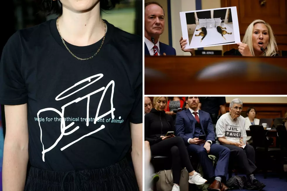 PETA Responds Following Staged Events in Great Falls, Billings