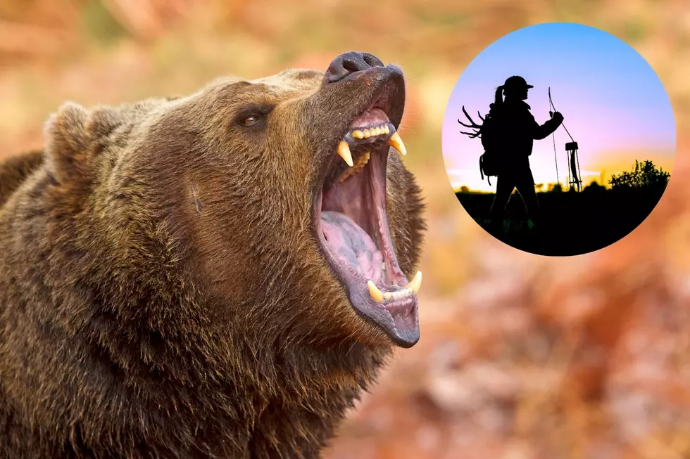 Heads Up for Montana Archery and Upland Game Bird Hunters