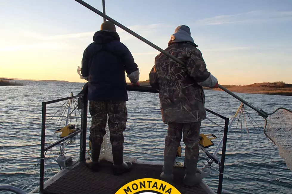 Montana’s Only Chinook Salmon Fishery, You May Be Surprised Where